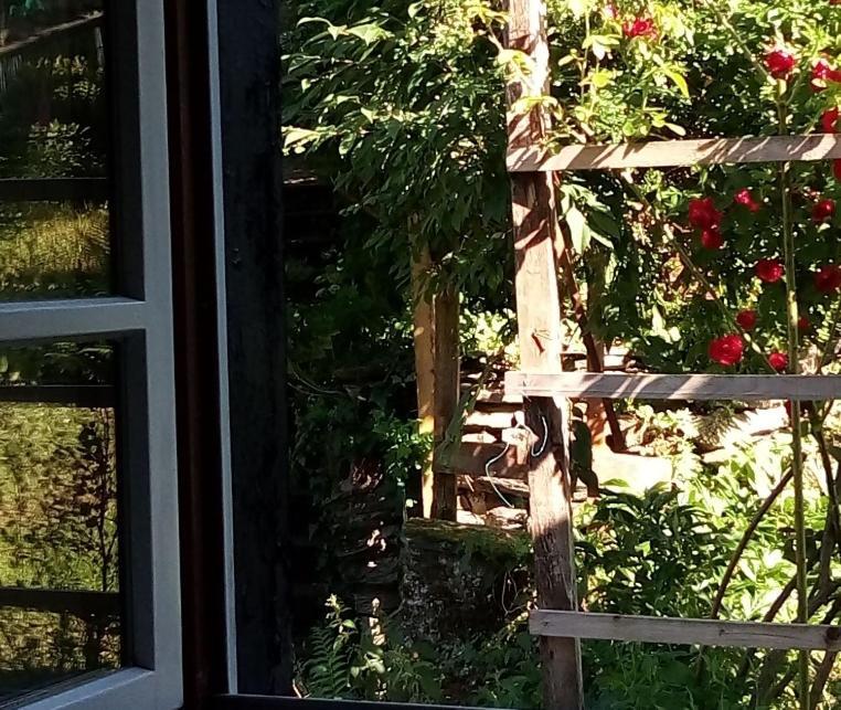 Haus Am Oberen Muehlenberg Mit Gartennutzung Monschau Exterior foto